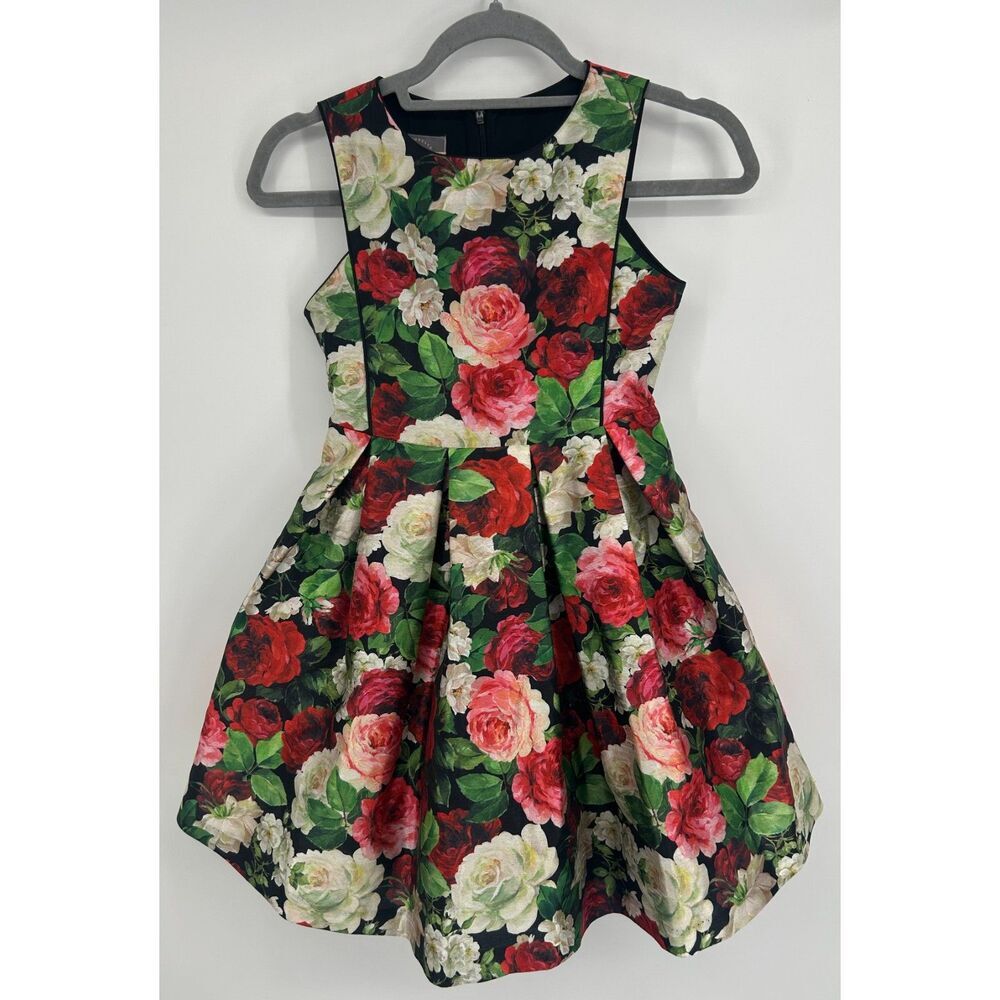 Pastourelle by Pippa & Julie Size 10 Holiday Floral Rose Dress Girls Kids